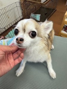 IMG20240608171310