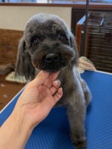 IMG20240608181916