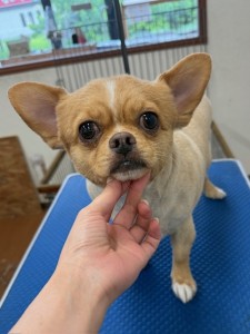 IMG20240608181916