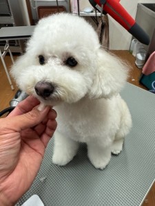 IMG20240608181916