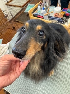 IMG20240608181916