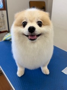 IMG20240608181916