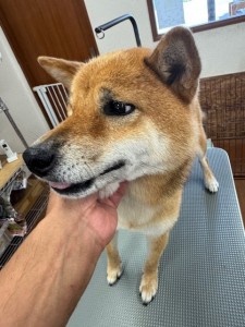 IMG20240608181916