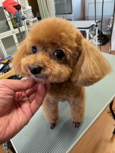 IMG20240608181916