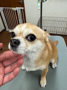 IMG20240608181916
