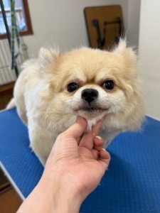 IMG20240608181916