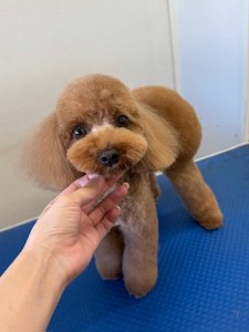 IMG20240608181916
