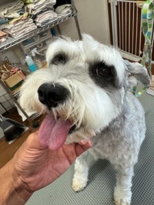 IMG20240608181916