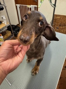 IMG20240816181814