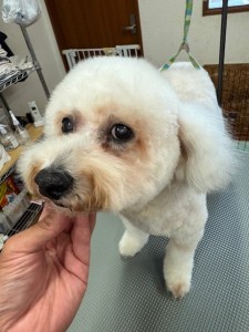 IMG20240816181814