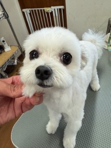 IMG20240816181814