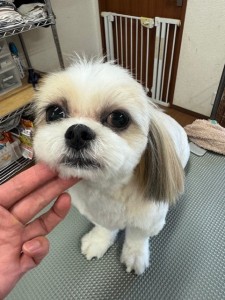 IMG20240816181814
