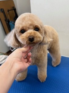 thumbnail_image0