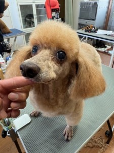 thumbnail_image0