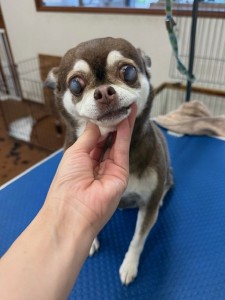 thumbnail_image0