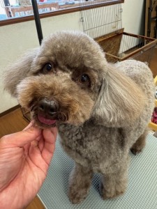 thumbnail_image2