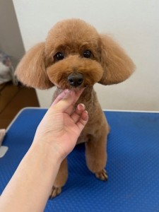 thumbnail_image2
