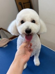 thumbnail_image2
