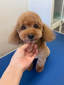 thumbnail_image4
