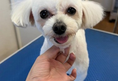 thumbnail_image5 (1)