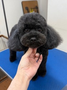 thumbnail_image5