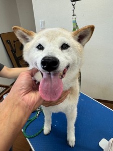 thumbnail_image5