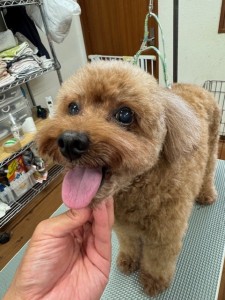 thumbnail_image5