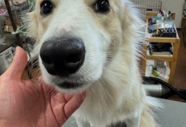 thumbnail_image6 (1)