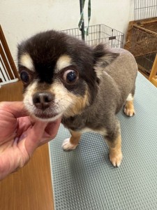 thumbnail_image6