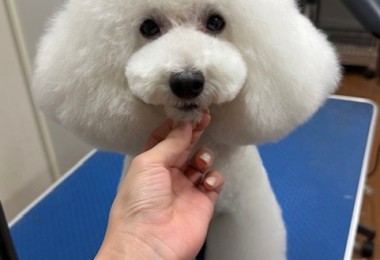 thumbnail_image7 (1)