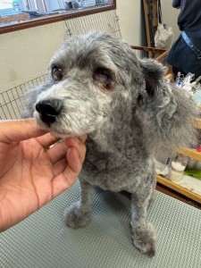 thumbnail_image7 (1)