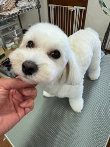 thumbnail_image7