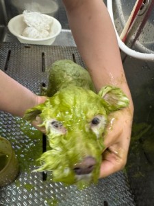 thumbnail_image7