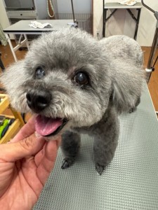 IMG20240608143848