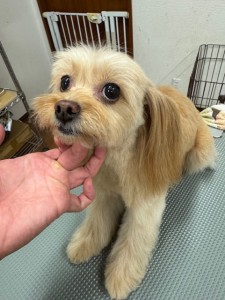 IMG20240608143848