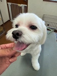 IMG20240608171310