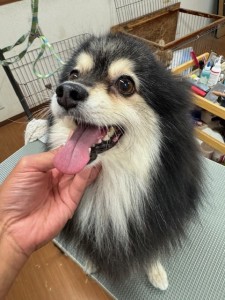 IMG20240608171310