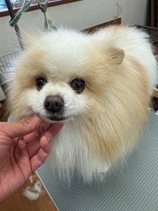 IMG20240608171310