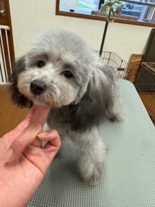 IMG20240608171310