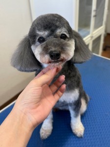 IMG20240608171310