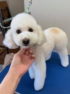 IMG20240608181916