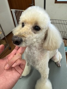 IMG20240608181916