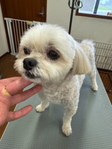 IMG20240608181916