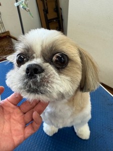 IMG20240608181916