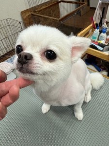 IMG20240608181916