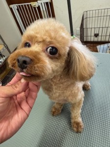 IMG20240608181916