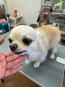 IMG20240608181916