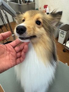 IMG20240608181916
