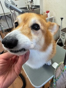 IMG20240608181916