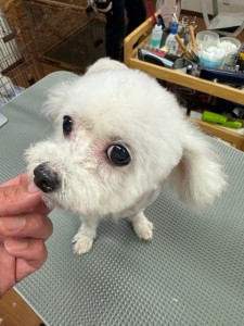 IMG20240816181814